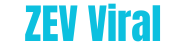zevblog Games